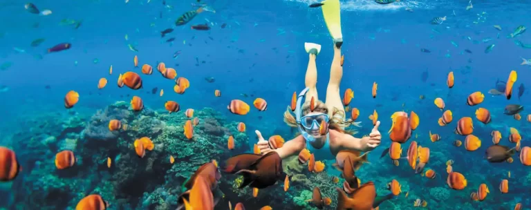 Snorkeling Trip from El Gouna