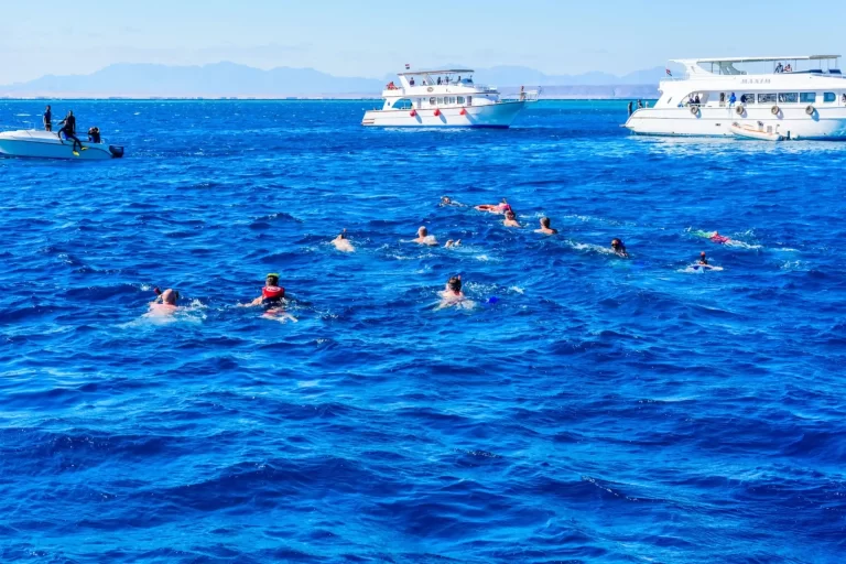 Snorkling in Red Sea
