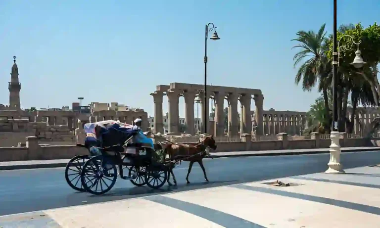 Luxor Horse Carriage Trip