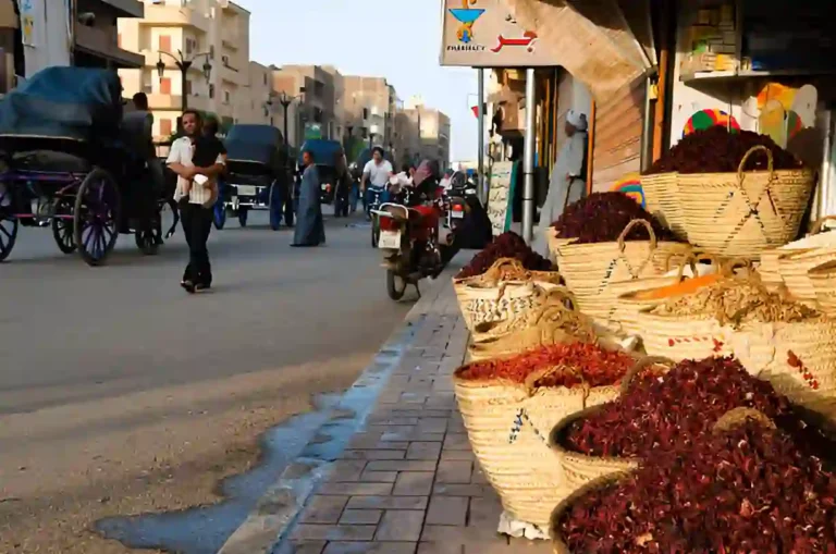 Luxor Horse Carriage Trip 2