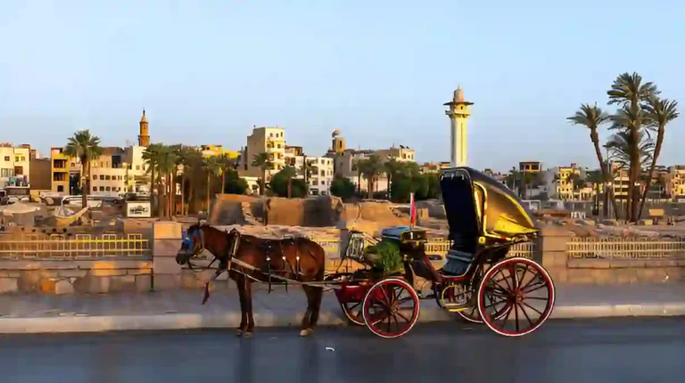 Luxor Horse Carriage Trip 3