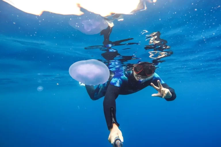 Private Snorkeling In Hurghada