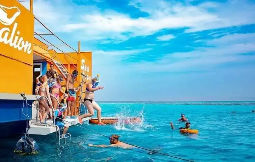 Seascope Panorama Wolf snorkeling